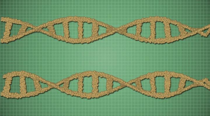 Biology in Focus: What Are DNA and RNA? | Discovery Education