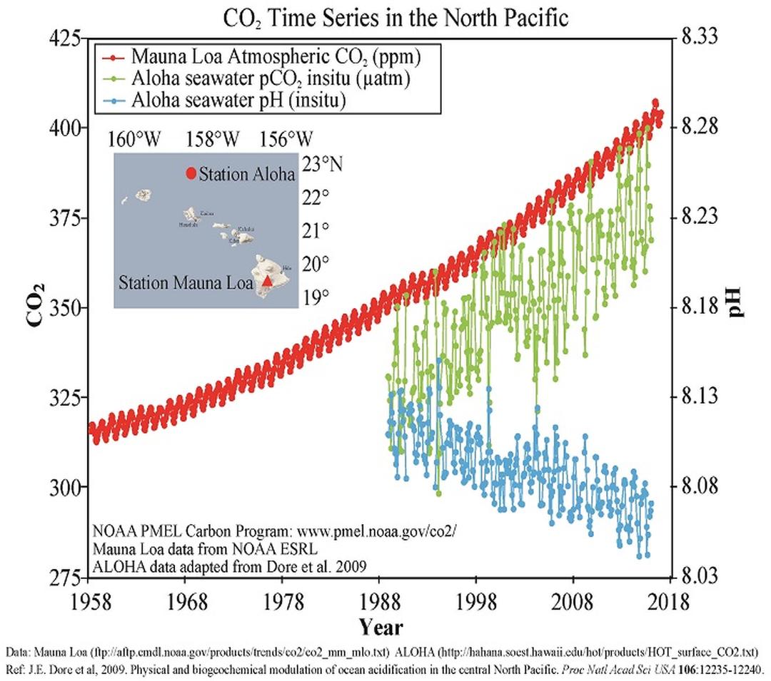 Carbon Dioxide Time Series in the North Pacific