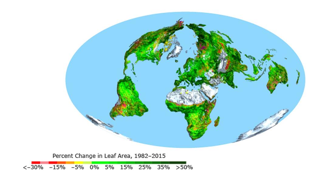 Change in Leaf Area Map