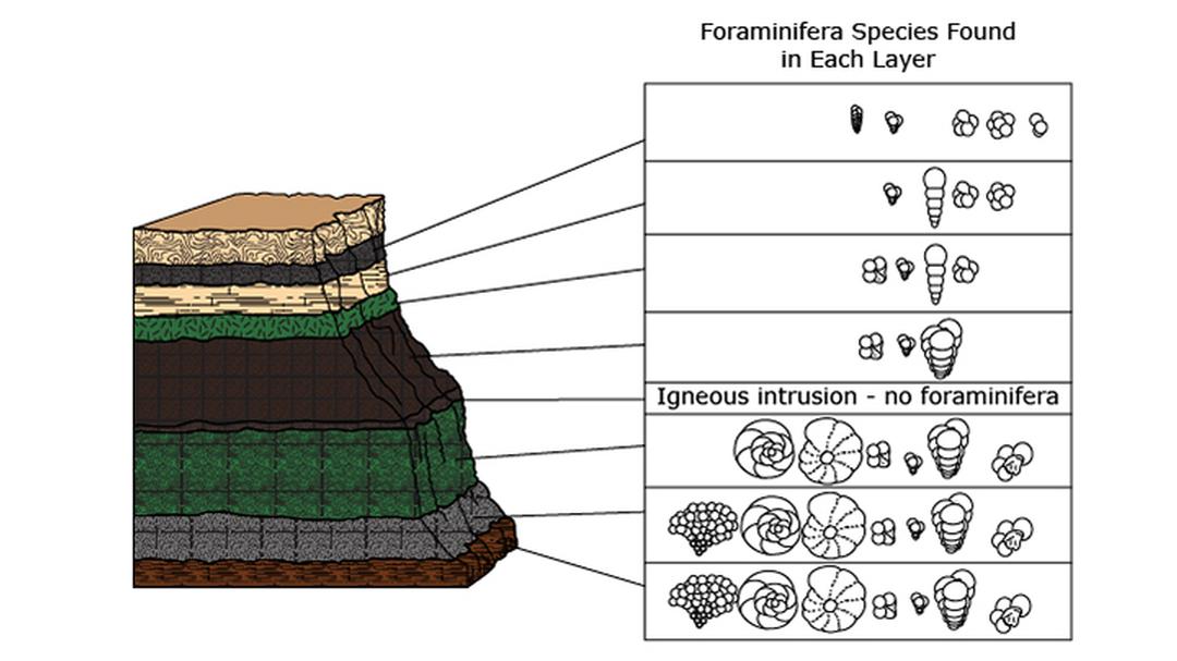 Rock Strata