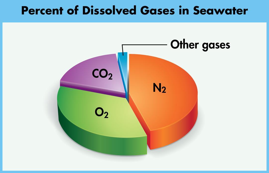 Carbon Dioxide in the Oceans