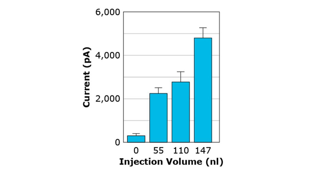 Cell Volume