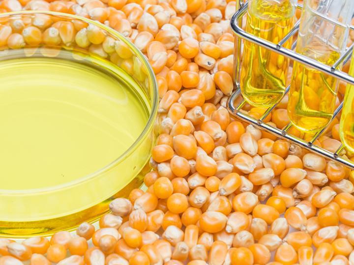 Is Making Fuel from Corn a Good Idea? Discovery Education