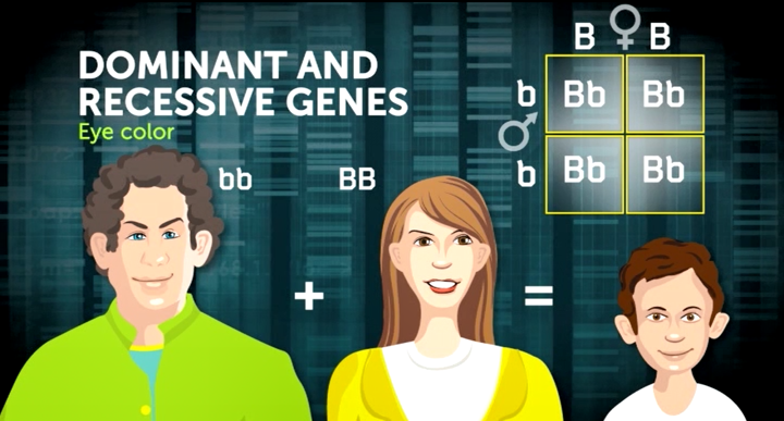 Simple Traits versus Complex Traits | Discovery Education